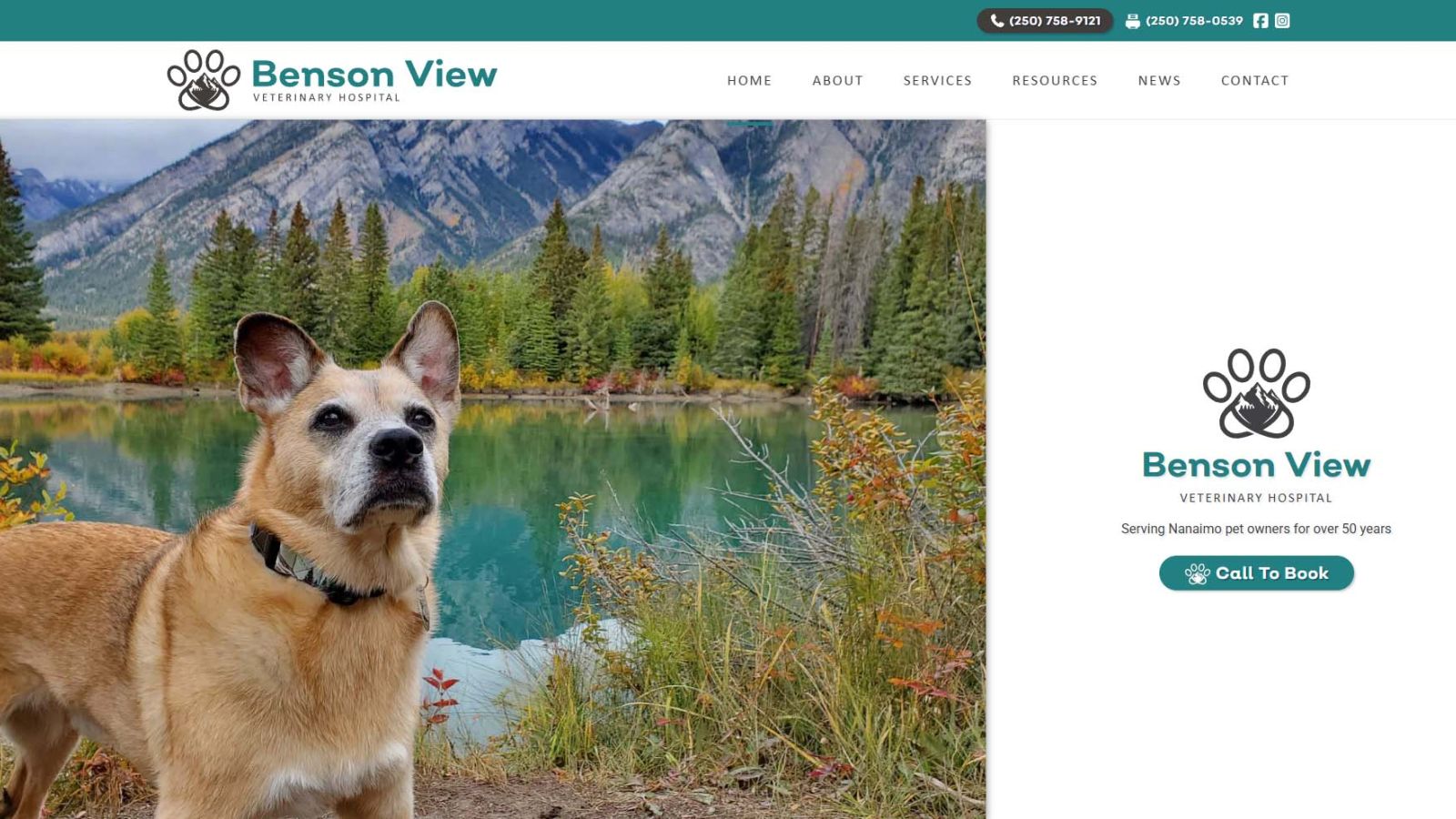 Benson View Veterinary Hospital Home Hero Desktop View